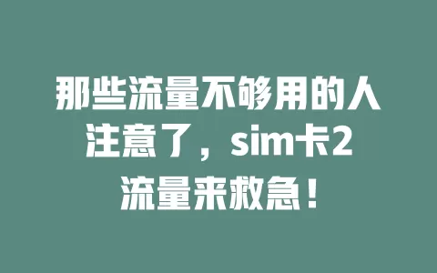 那些流量不够用的人注意了，sim卡2流量来救急！