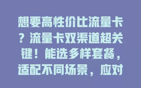想要高性价比流量卡？流量卡双渠道超关键！能选多样套餐，适配不同场景，应对各异网络，还有费用优惠，满足多样流量需求！