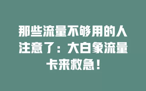 那些流量不够用的人注意了：大白象流量卡来救急！