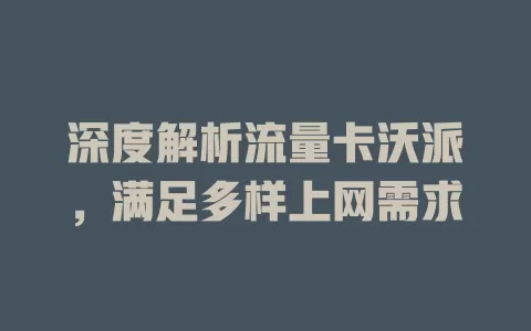 深度解析流量卡沃派，满足多样上网需求