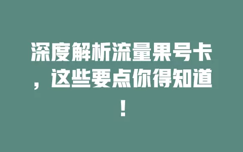 深度解析流量果号卡，这些要点你得知道！