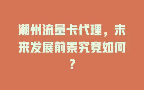潮州流量卡代理，未来发展前景究竟如何？