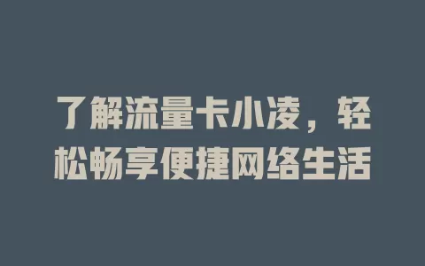了解流量卡小凌，轻松畅享便捷网络生活