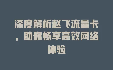 深度解析赵飞流量卡，助你畅享高效网络体验