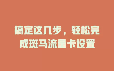 搞定这几步，轻松完成斑马流量卡设置