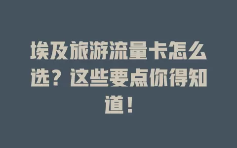 埃及旅游流量卡怎么选？这些要点你得知道！