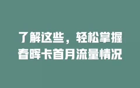 了解这些，轻松掌握春晖卡首月流量情况