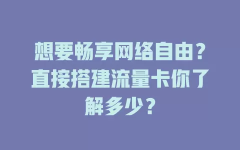 想要畅享网络自由？直接搭建流量卡你了解多少？