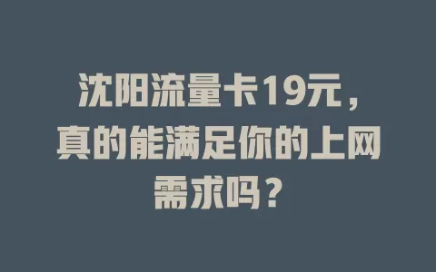沈阳流量卡19元，真的能满足你的上网需求吗？