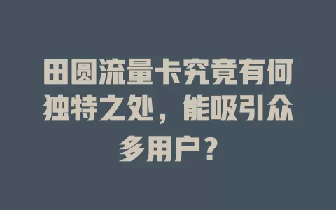 田圆流量卡究竟有何独特之处，能吸引众多用户？