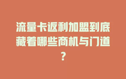 流量卡返利加盟到底藏着哪些商机与门道？