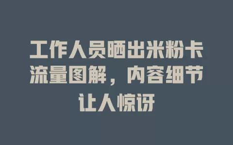 工作人员晒出米粉卡流量图解，内容细节让人惊讶