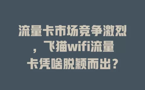 流量卡市场竞争激烈，飞猫wifi流量卡凭啥脱颖而出？