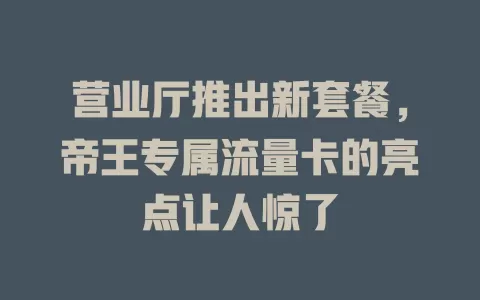 营业厅推出新套餐，帝王专属流量卡的亮点让人惊了