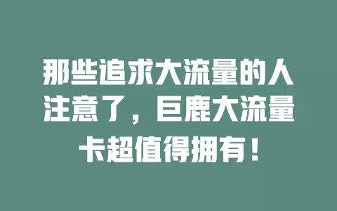 那些追求大流量的人注意了，巨鹿大流量卡超值得拥有！