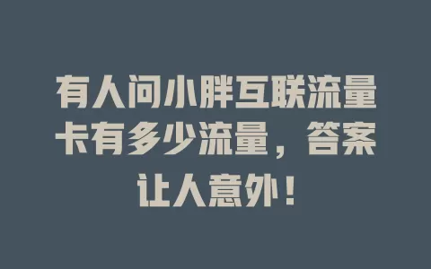有人问小胖互联流量卡有多少流量，答案让人意外！