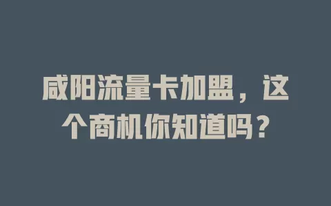 咸阳流量卡加盟，这个商机你知道吗？