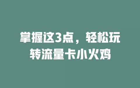 掌握这3点，轻松玩转流量卡小火鸡
