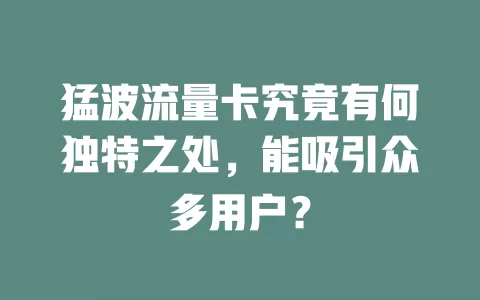 猛波流量卡究竟有何独特之处，能吸引众多用户？