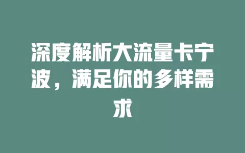 深度解析大流量卡宁波，满足你的多样需求