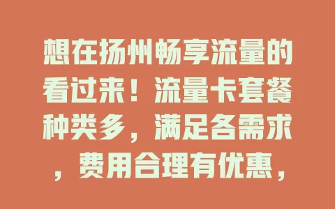 想在扬州畅享流量的看过来！流量卡套餐种类多，满足各需求，费用合理有优惠，选时关注细节，本地居民和游客都能找到适合的，快来挑一款！
