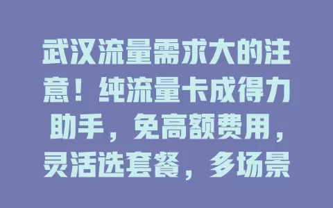 武汉流量需求大的注意！纯流量卡成得力助手，免高额费用，灵活选套餐，多场景可用