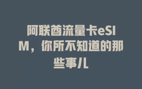 阿联酋流量卡eSIM，你所不知道的那些事儿