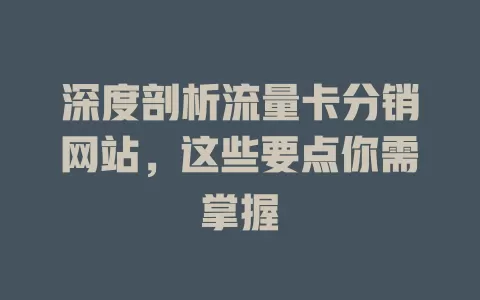 深度剖析流量卡分销网站，这些要点你需掌握