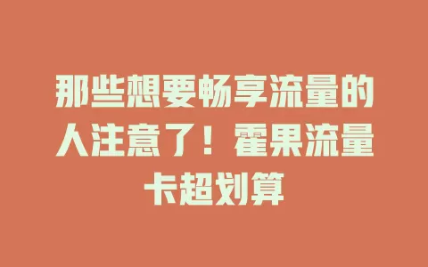 那些想要畅享流量的人注意了！霍果流量卡超划算