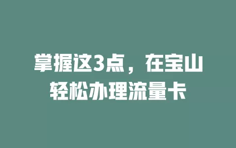 掌握这3点，在宝山轻松办理流量卡