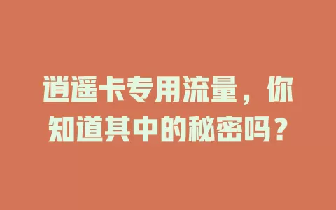 逍遥卡专用流量，你知道其中的秘密吗？