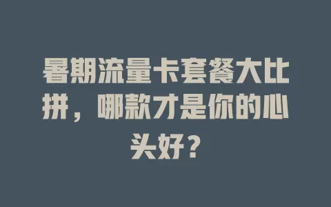 暑期流量卡套餐大比拼，哪款才是你的心头好？