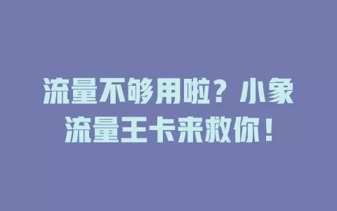 流量不够用啦？小象流量王卡来救你！