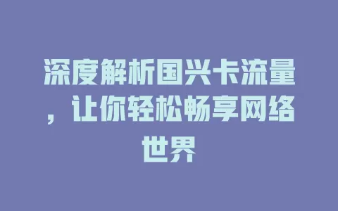 深度解析国兴卡流量，让你轻松畅享网络世界