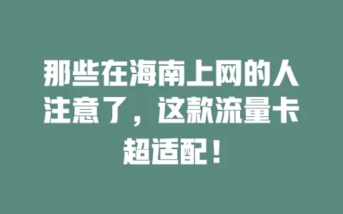 那些在海南上网的人注意了，这款流量卡超适配！