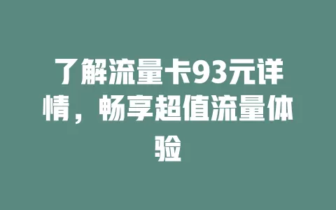 了解流量卡93元详情，畅享超值流量体验