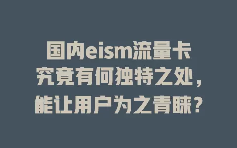 国内eism流量卡究竟有何独特之处，能让用户为之青睐？