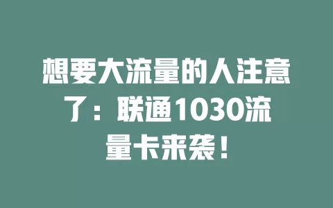 想要大流量的人注意了：联通1030流量卡来袭！