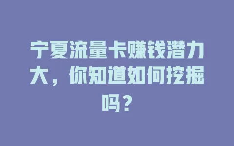 宁夏流量卡赚钱潜力大，你知道如何挖掘吗？