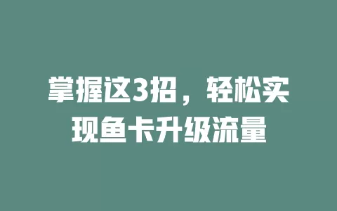 掌握这3招，轻松实现鱼卡升级流量
