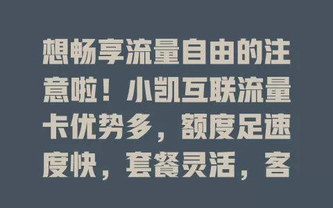 想畅享流量自由的注意啦！小凯互联流量卡优势多，额度足速度快，套餐灵活，客服给力，助你上网无忧