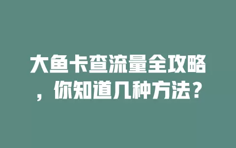 大鱼卡查流量全攻略，你知道几种方法？