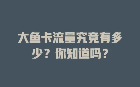 大鱼卡流量究竟有多少？你知道吗？