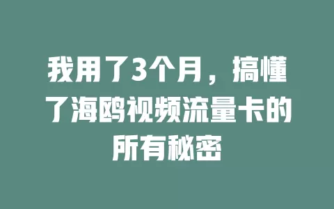 我用了3个月，搞懂了海鸥视频流量卡的所有秘密