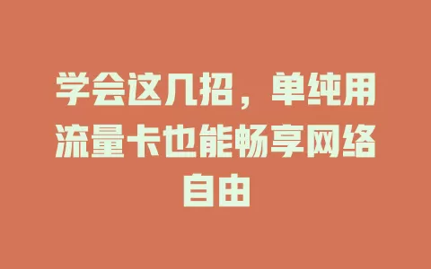 学会这几招，单纯用流量卡也能畅享网络自由