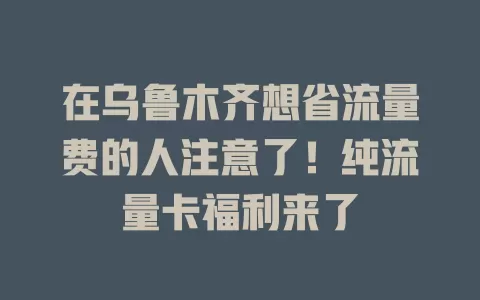 在乌鲁木齐想省流量费的人注意了！纯流量卡福利来了