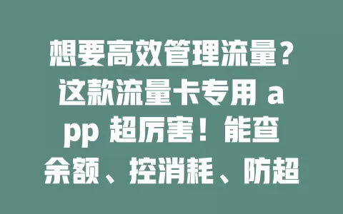 想要高效管理流量？这款流量卡专用 app 超厉害！能查余额、控消耗、防超支，还有便捷充值与智能推荐，让你畅享网络无压力