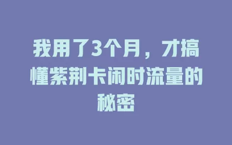 我用了3个月，才搞懂紫荆卡闲时流量的秘密