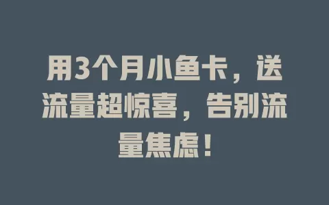 用3个月小鱼卡，送流量超惊喜，告别流量焦虑！