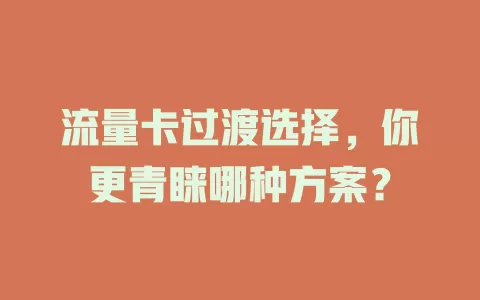 流量卡过渡选择，你更青睐哪种方案？